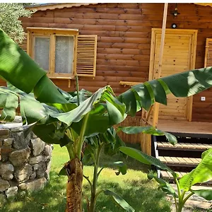  Apart Otel Derin Taş-bungalow Türkiye